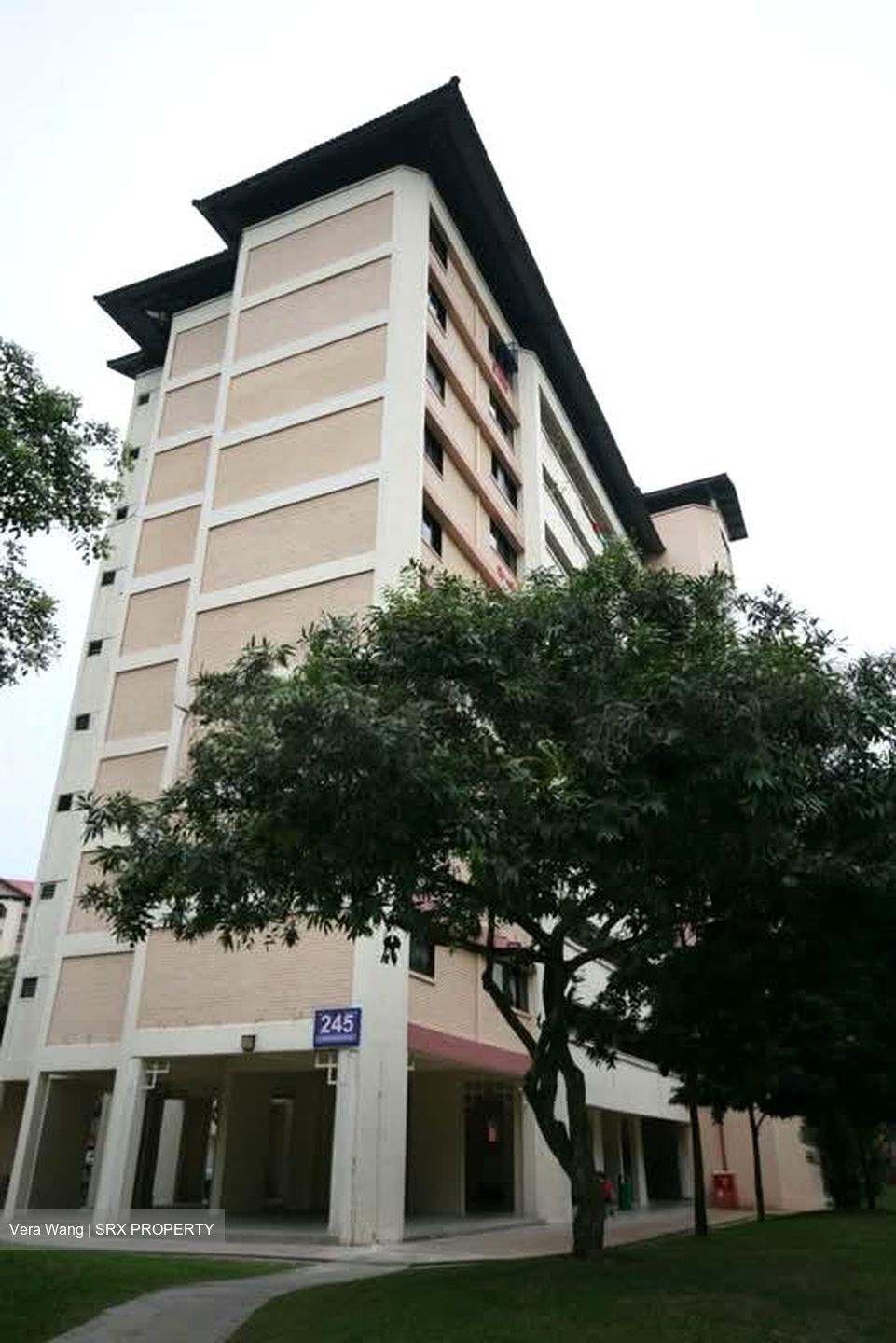 Blk 245 Jurong East Street 24 (Jurong East), HDB 3 Rooms #543180751